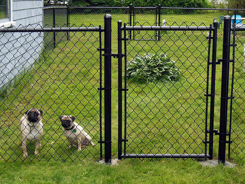 PVC Coated Chain Link Fence