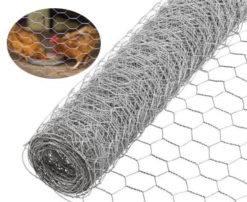 Chicken Wire Fence