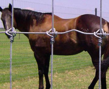 Knot Woven Horse Fence